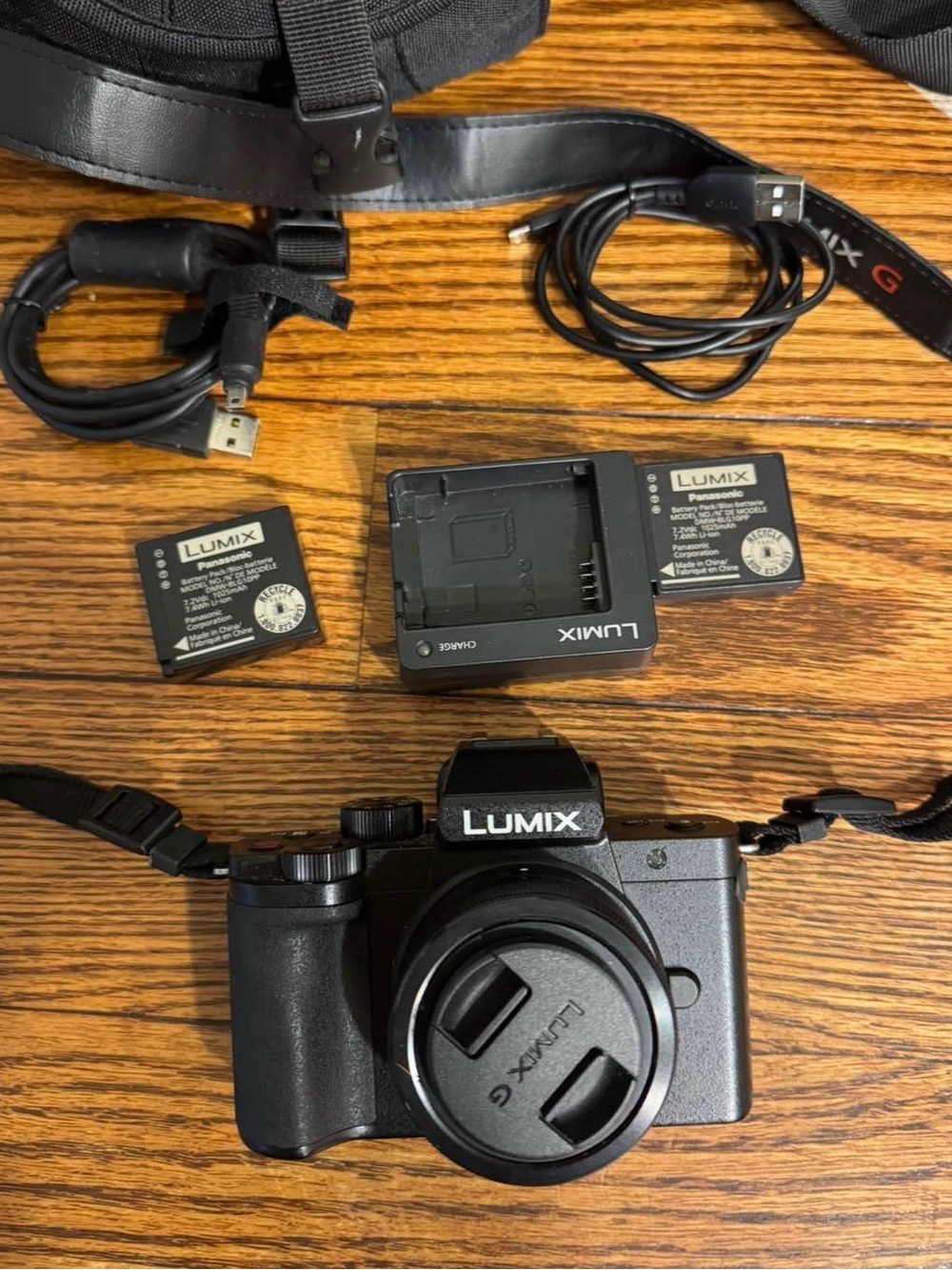 Panasonic Lumix Black Mirrorless Camera with Charger, batteries & bag
